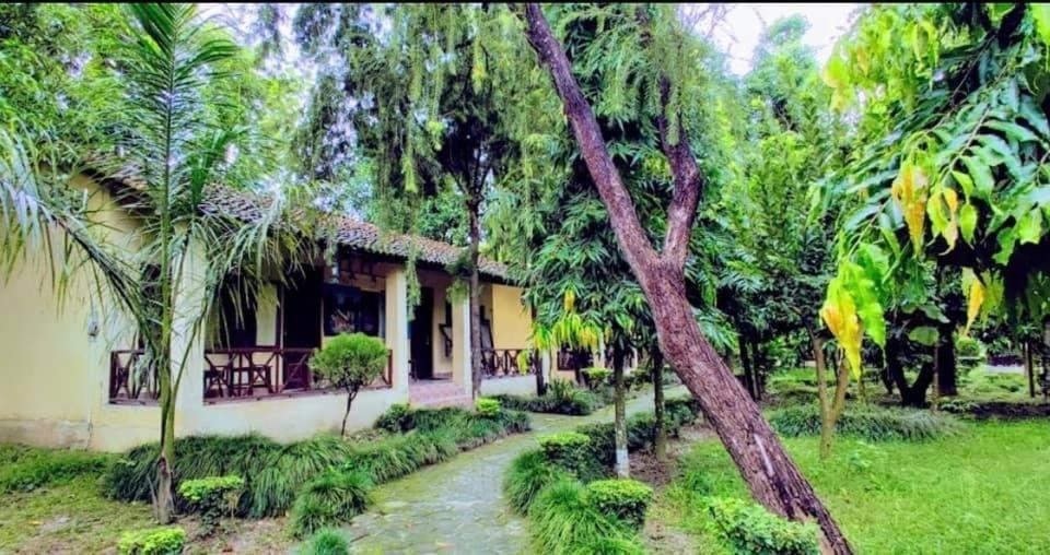 Rhino Lodge Bardia Pvt Ltd Bardiya Luaran gambar