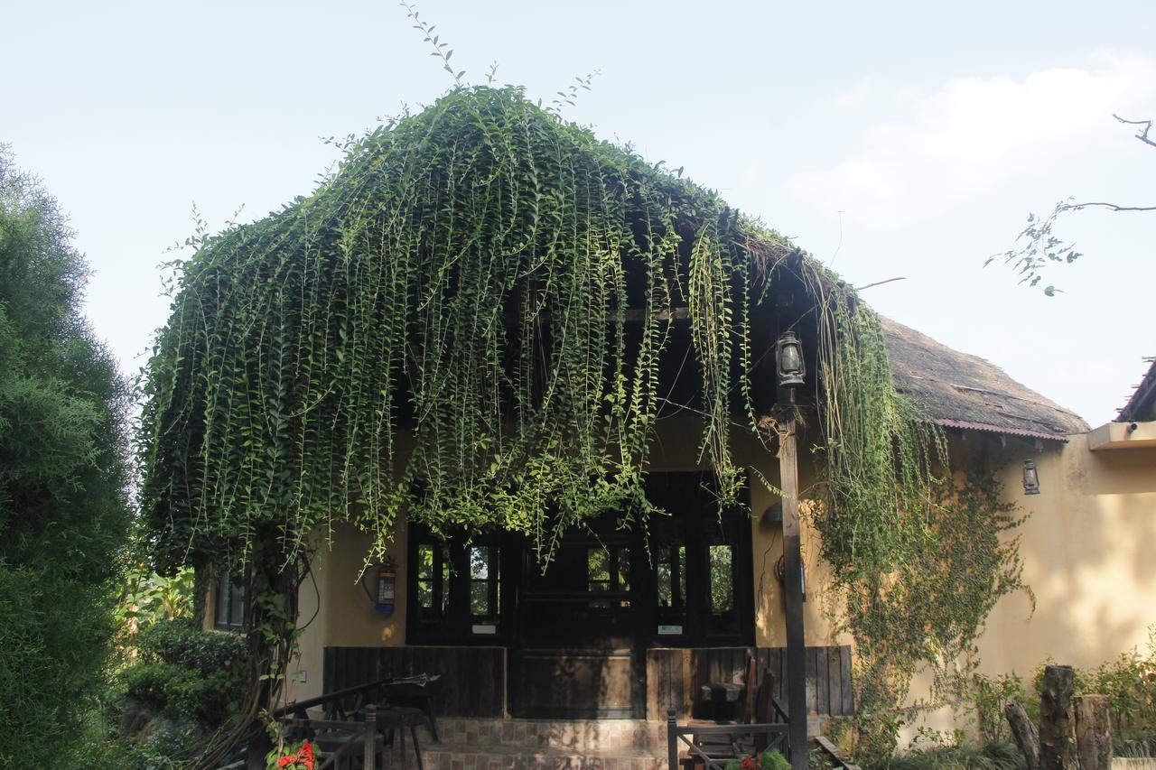 Rhino Lodge Bardia Pvt Ltd Bardiya Luaran gambar