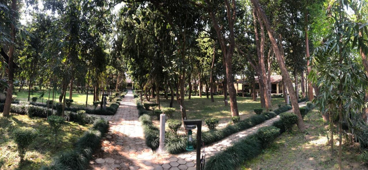 Rhino Lodge Bardia Pvt Ltd Bardiya Luaran gambar