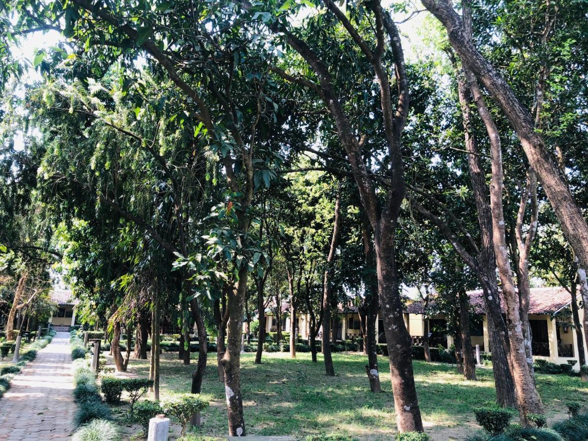 Rhino Lodge Bardia Pvt Ltd Bardiya Luaran gambar